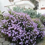 Del Capo * Capo Vaticano