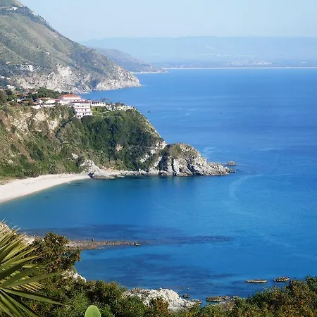 Del Capo カーポ・ヴァチカーノ