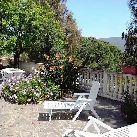 Del Capo * カーポ・ヴァチカーノ