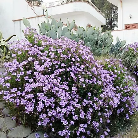 Del Capo * カーポ・ヴァチカーノ